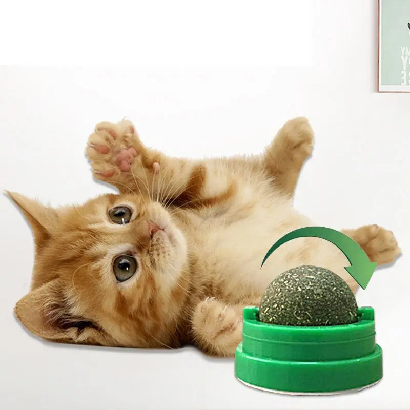 PurrfectPlay Toy Ball