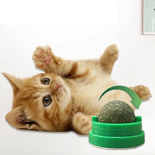 PurrfectPlay Toy Ball